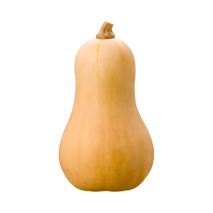 Courge butternut