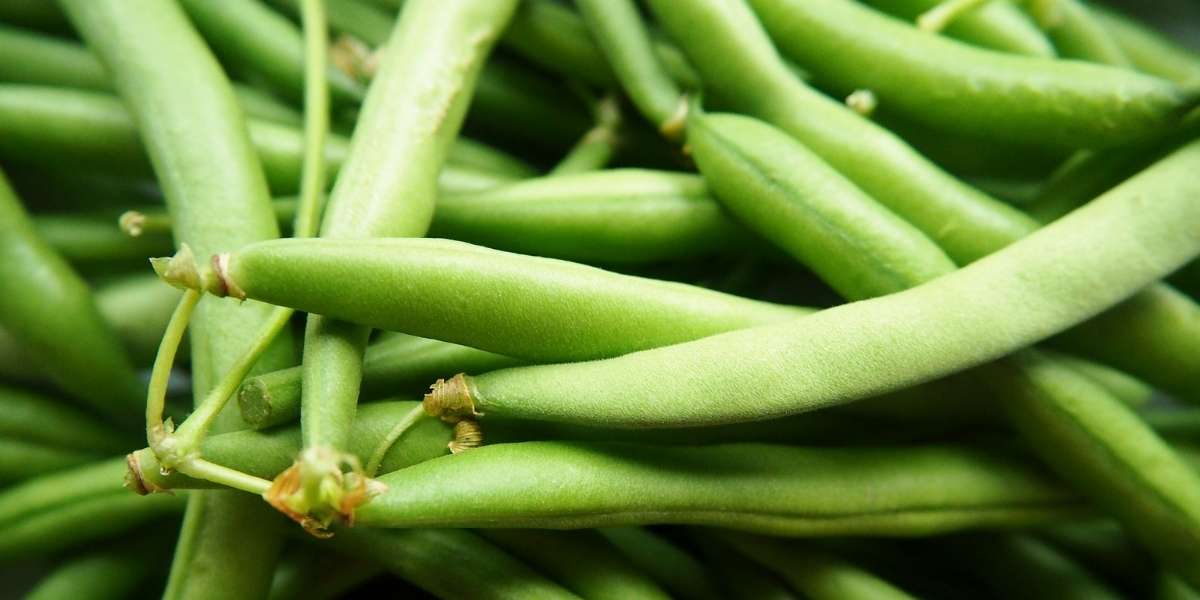 Salade de haricots verts et chou rouge